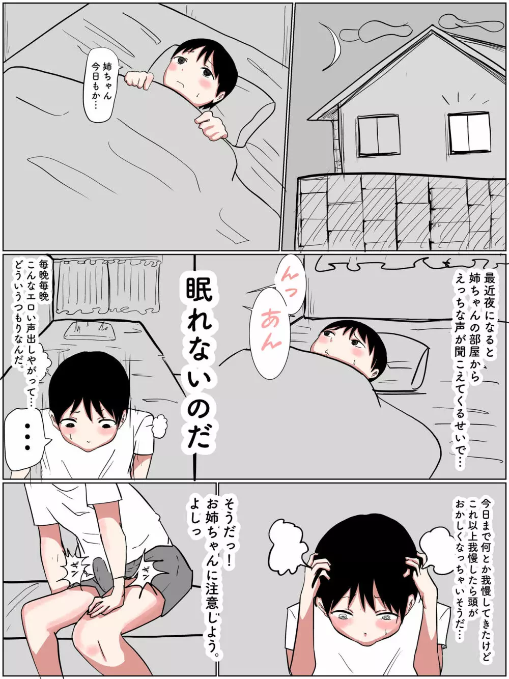 お姉ちゃんと中出しセックスするおとうと - page3