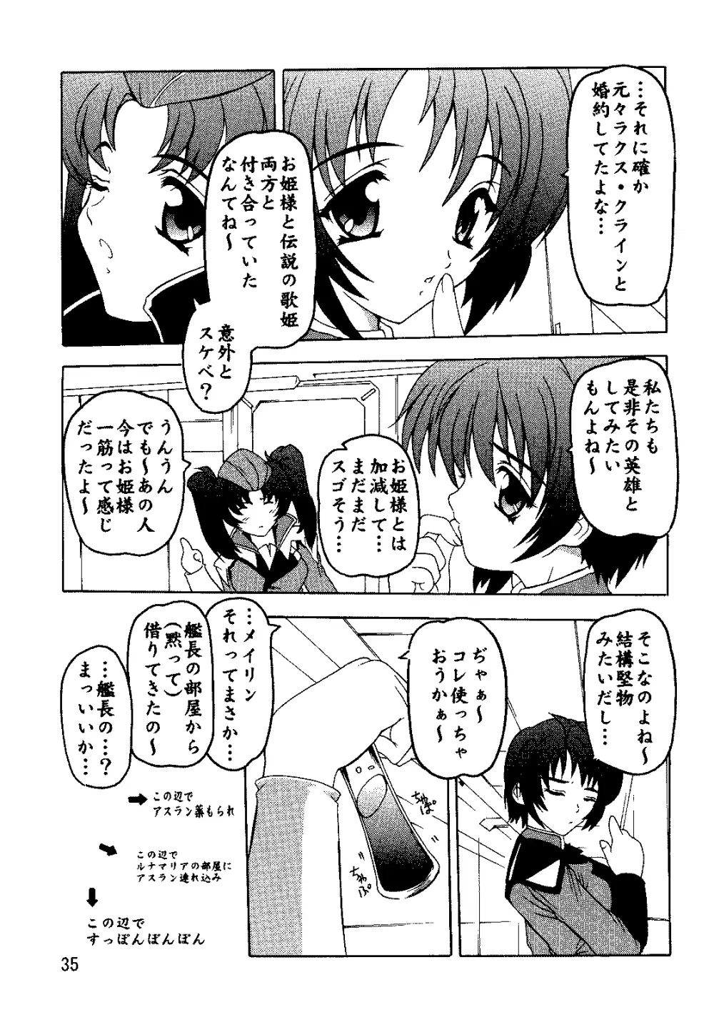 SEED総集編 - page34
