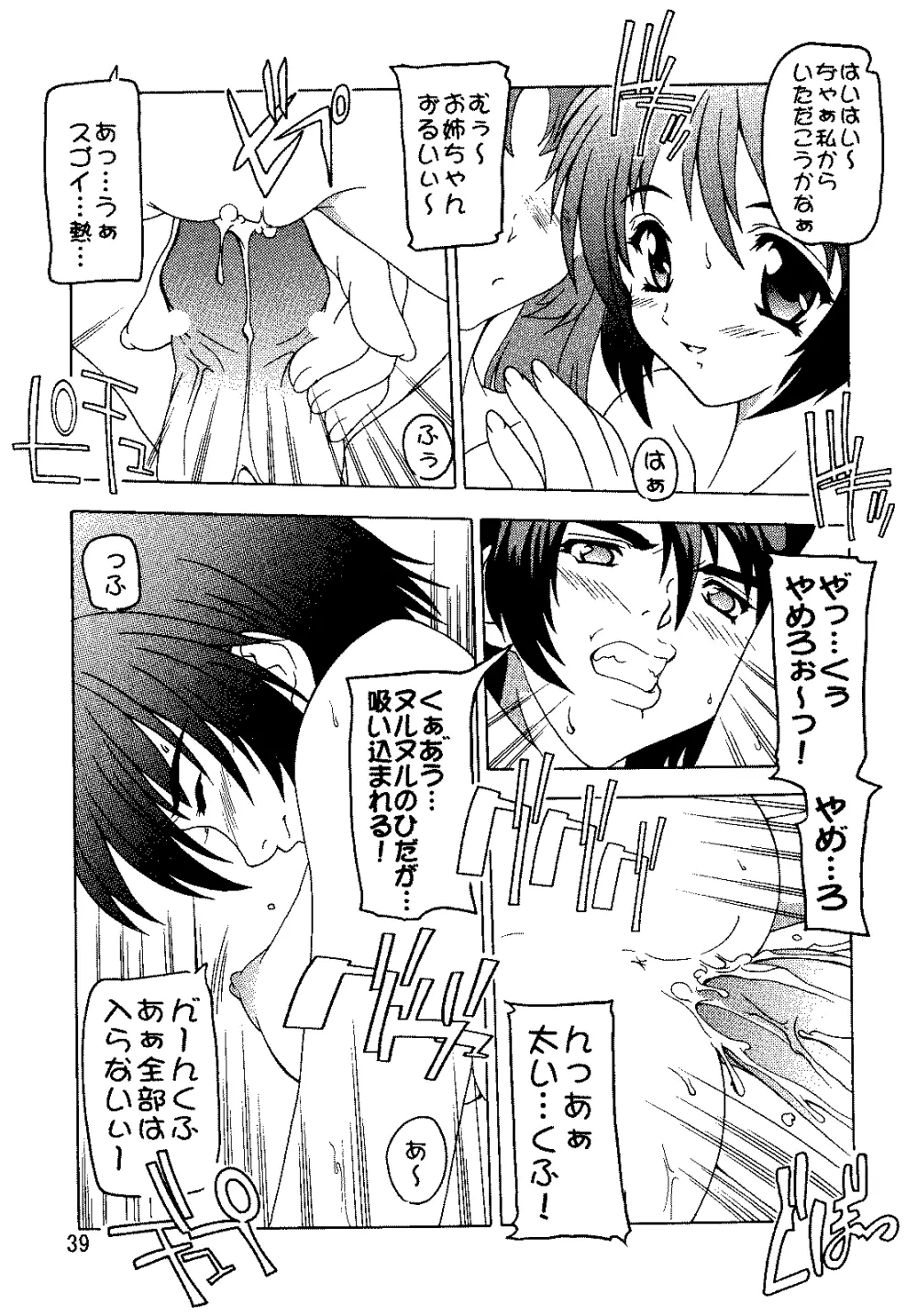 SEED総集編 - page38