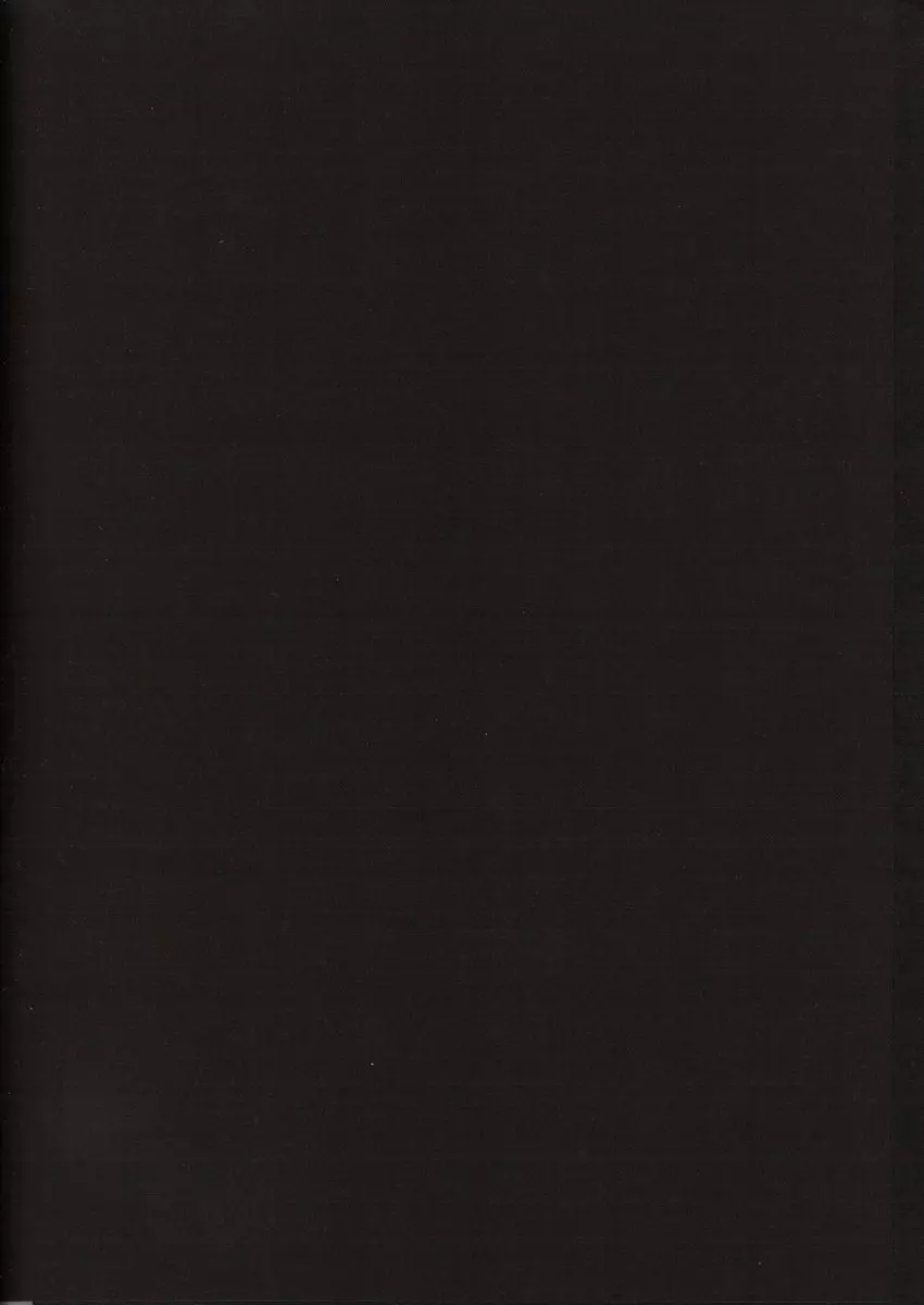 ニヌクナー - page2