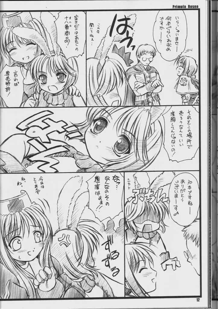 PRIMULA Rosea - page11