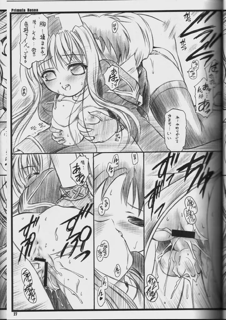 PRIMULA Rosea - page26