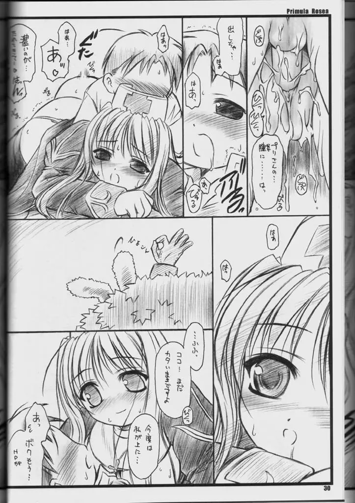 PRIMULA Rosea - page29