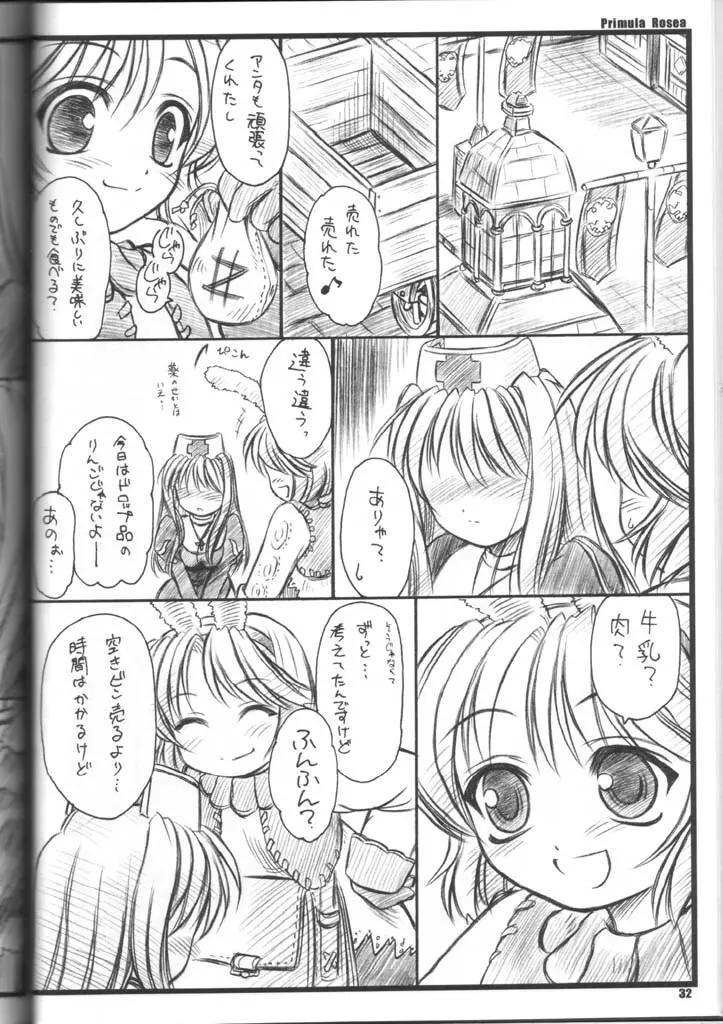 PRIMULA Rosea - page31