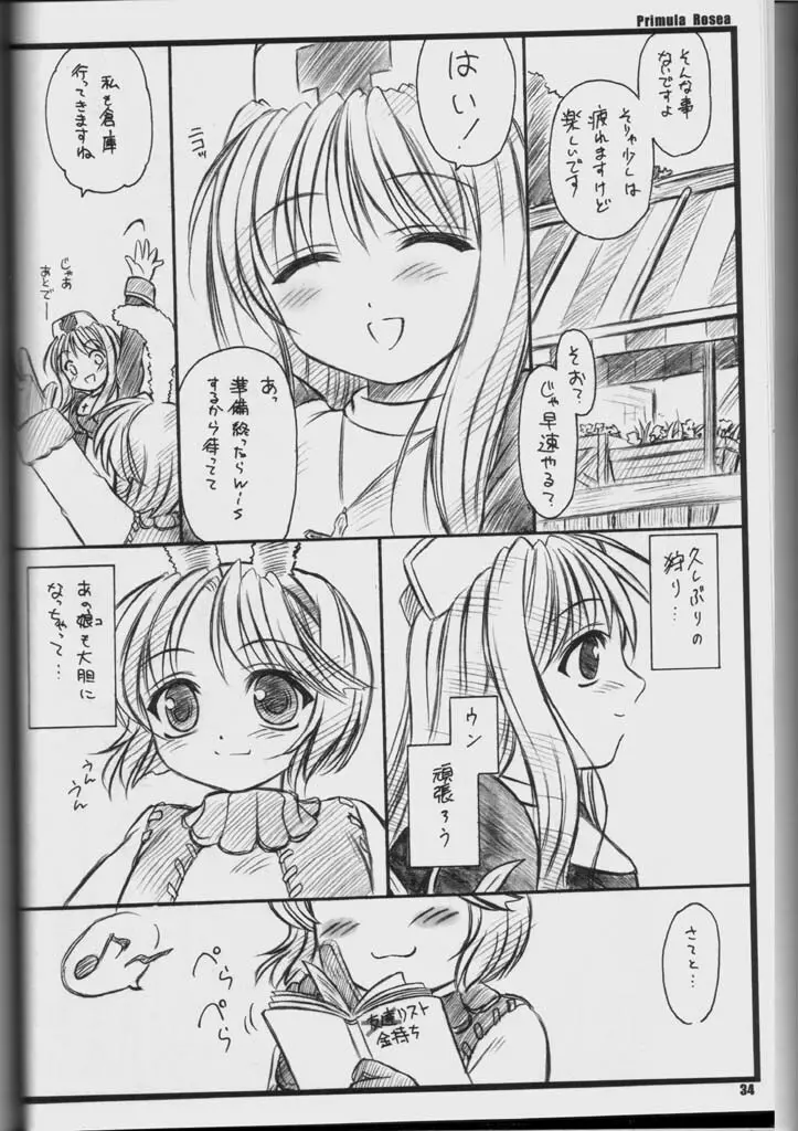 PRIMULA Rosea - page33