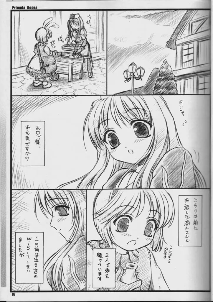 PRIMULA Rosea - page6