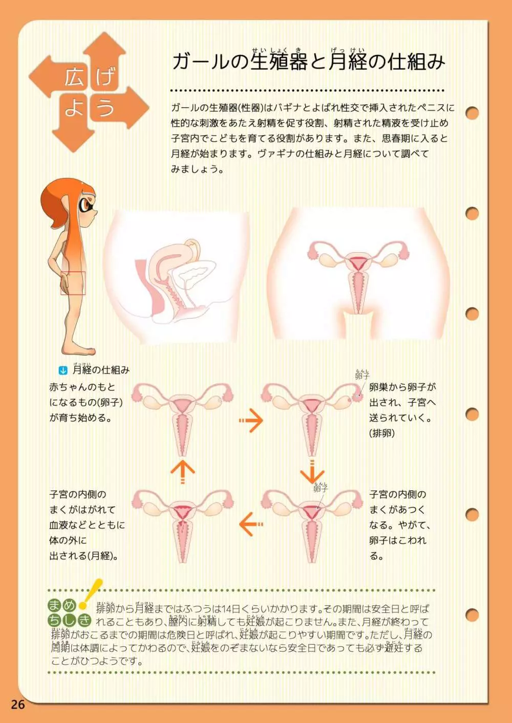 新編 新しいイカの保健 - page5