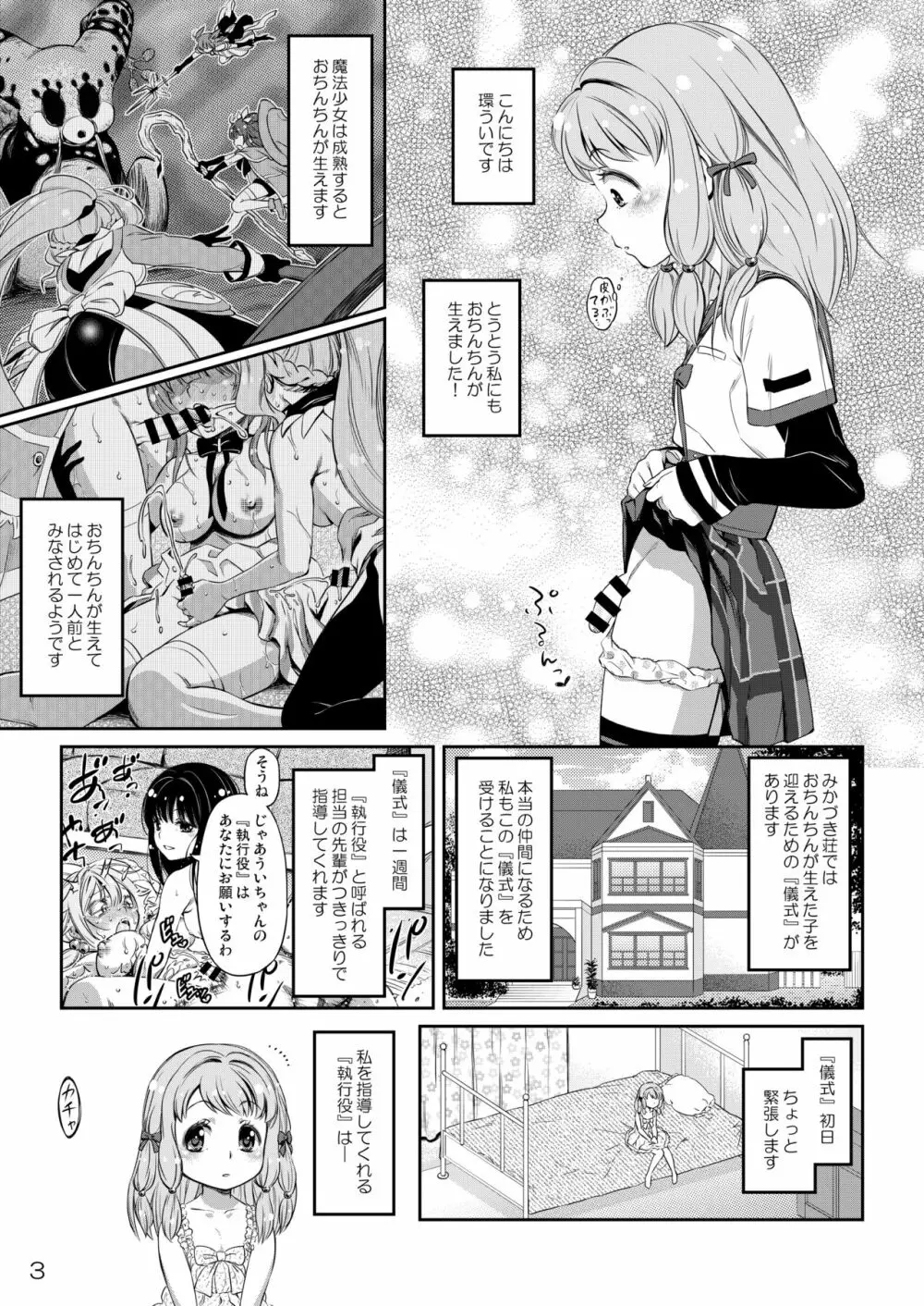 でぃあ♥まいりとるしすたぁ - page2