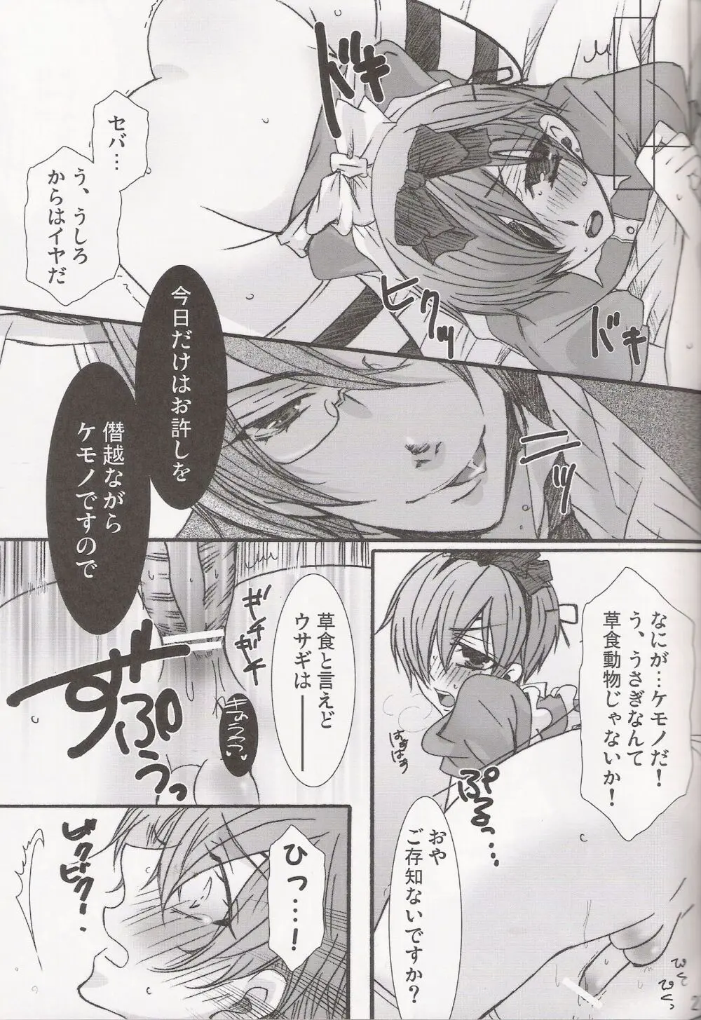 パレドール - page27