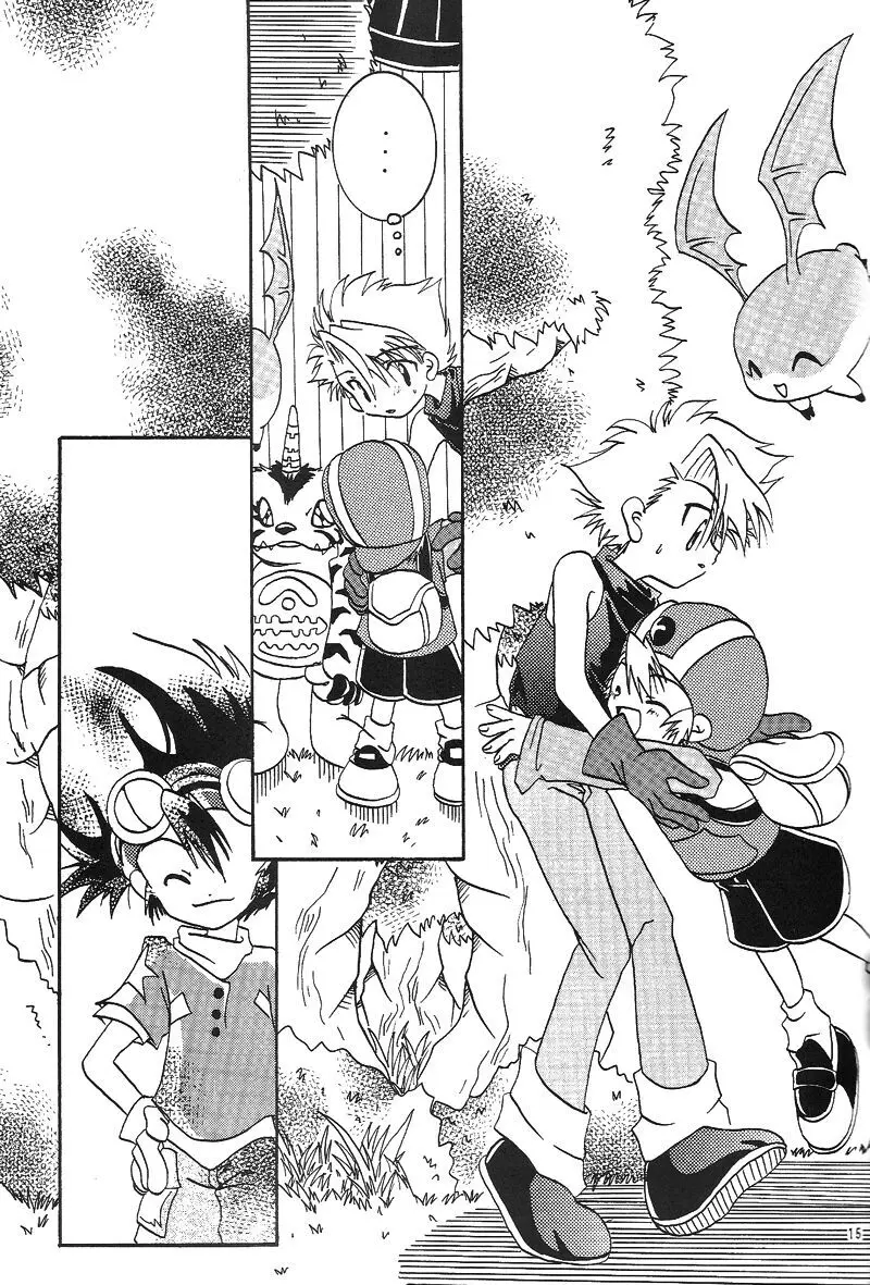 Duca 2.5 - page14