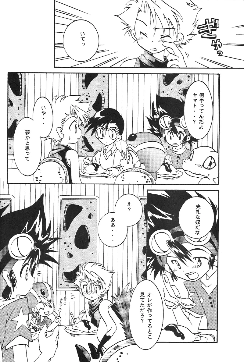 Duca 2.5 - page15