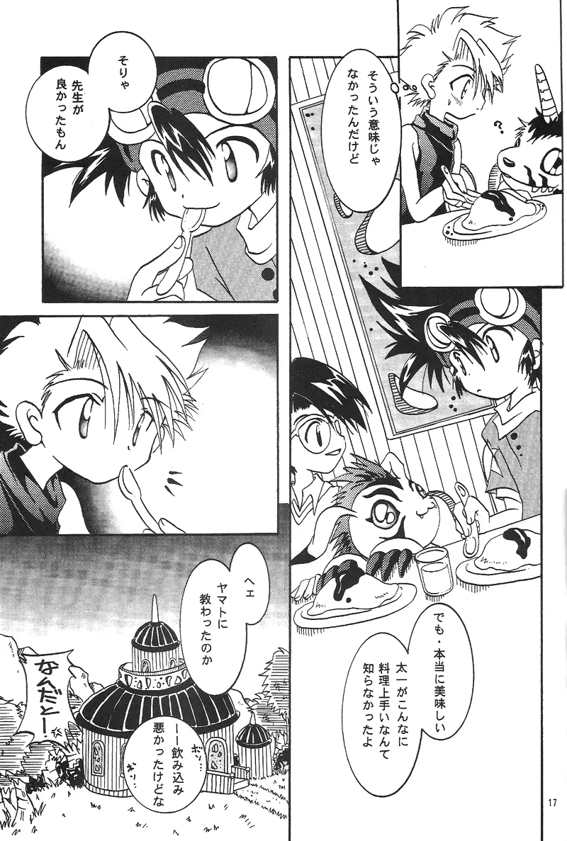 Duca 2.5 - page16