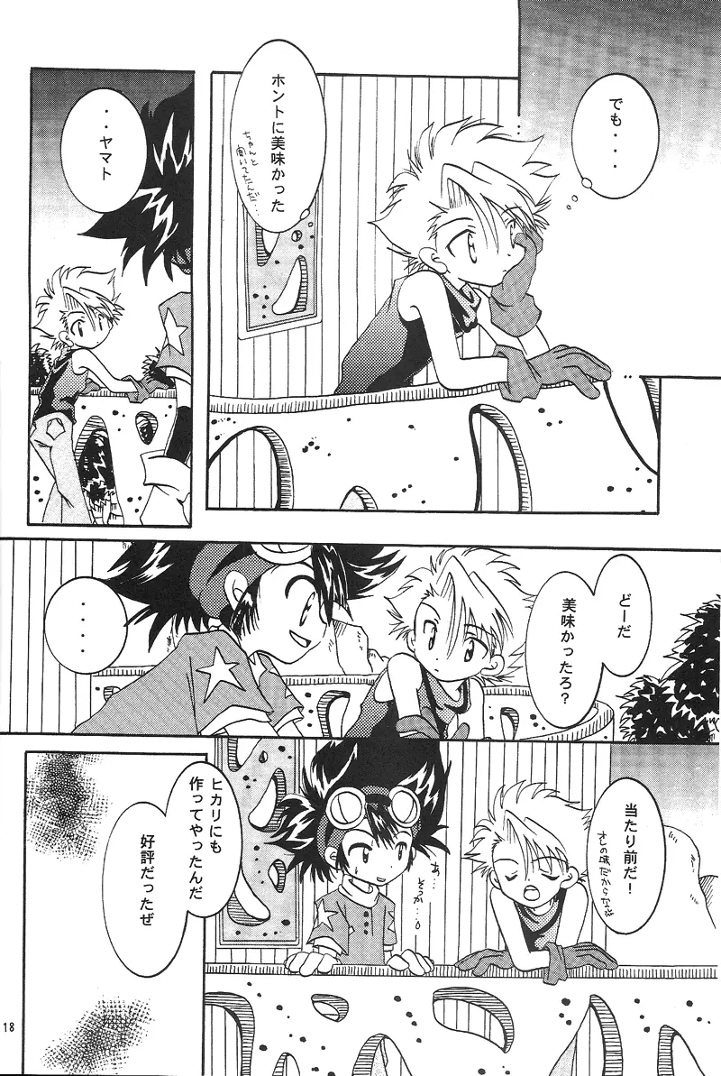 Duca 2.5 - page17