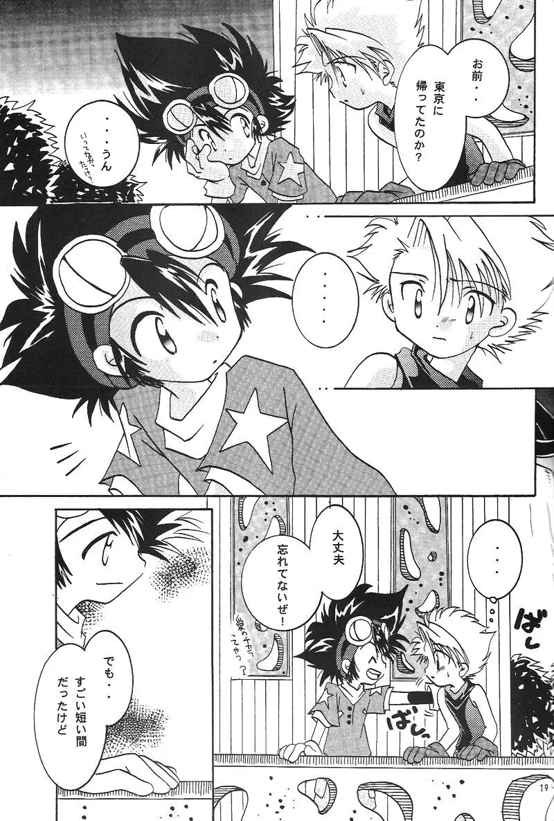Duca 2.5 - page18