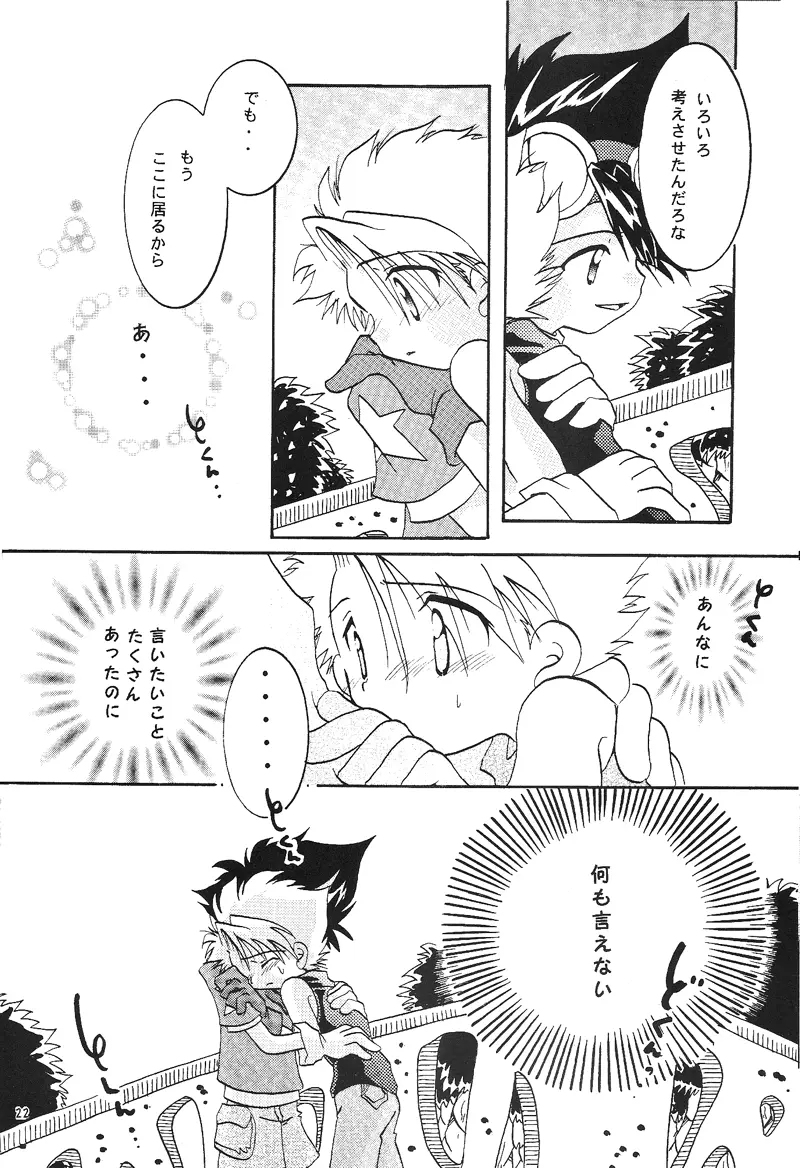 Duca 2.5 - page21