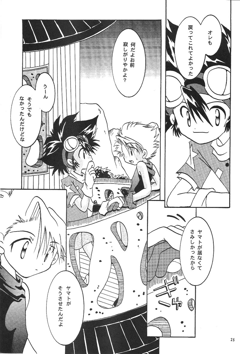 Duca 2.5 - page24