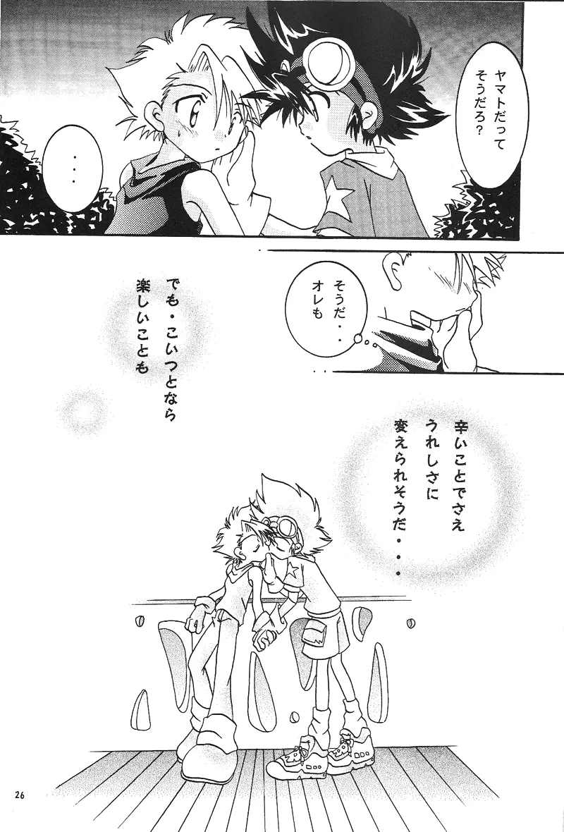 Duca 2.5 - page25