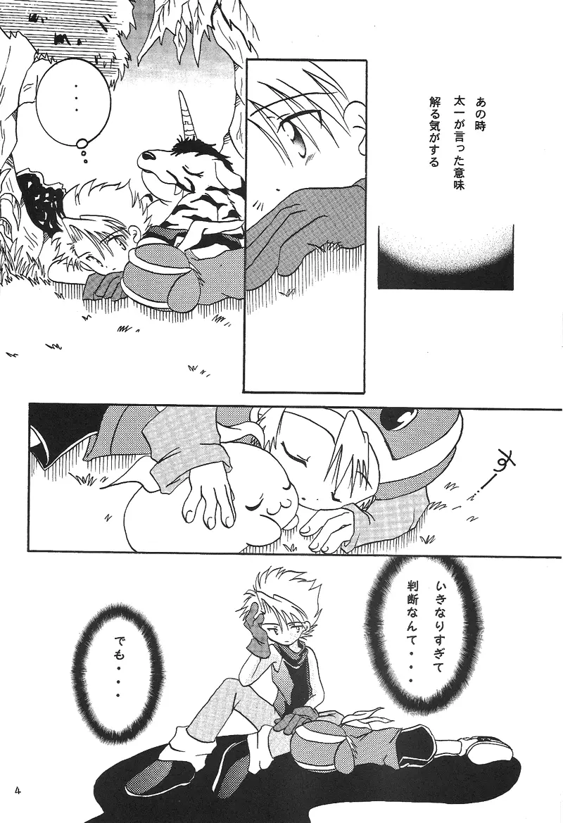 Duca 2.5 - page3
