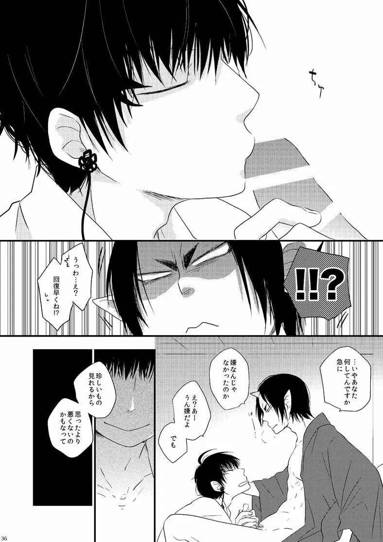 偏狭ダイナミズム - page33