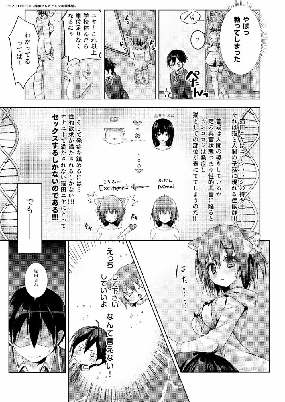 ニャンコロジ総集編 - page55