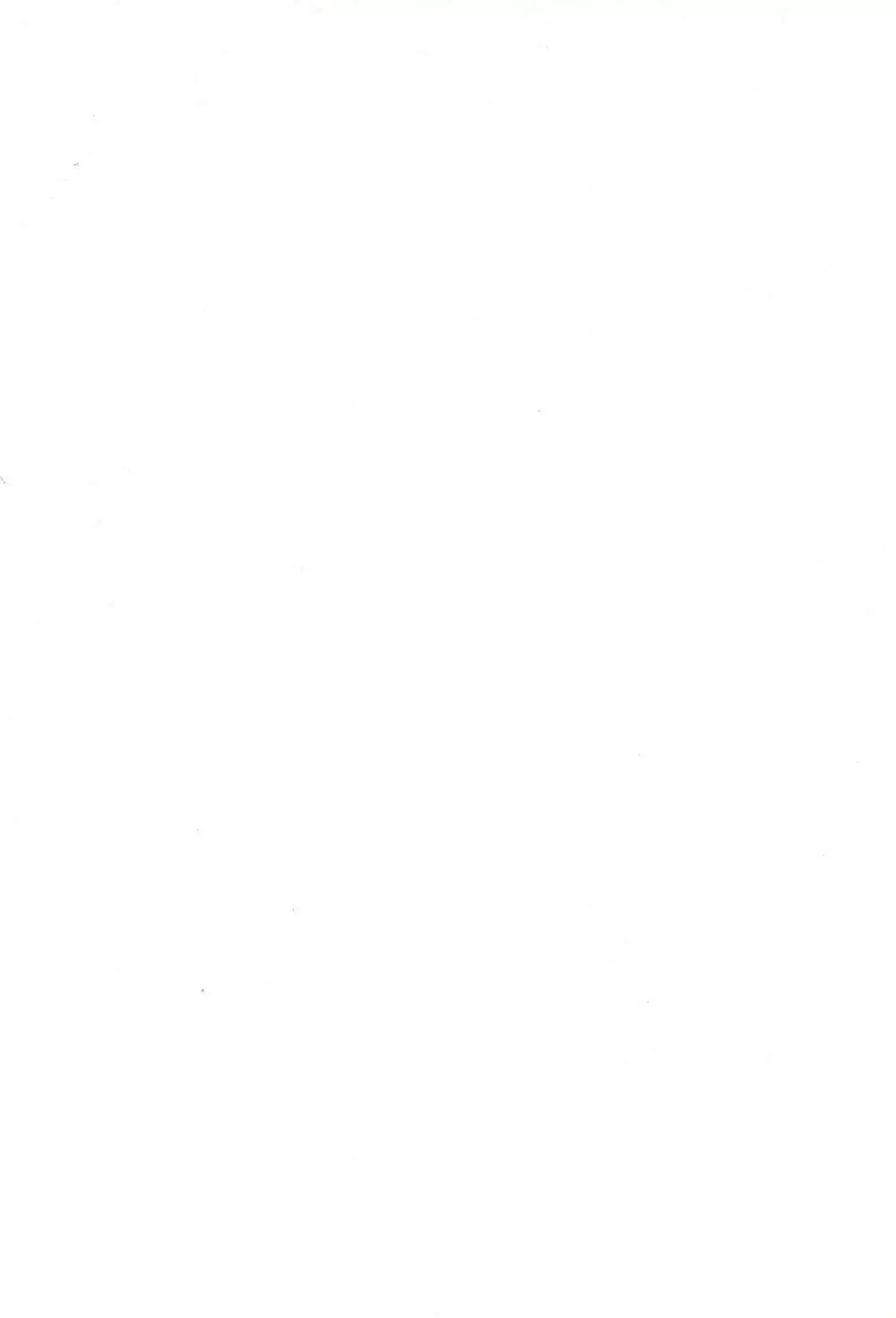 スピードスターの憂鬱 - page2