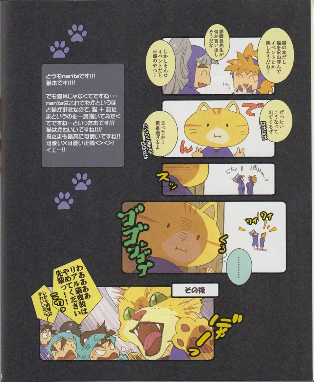 <<落第忍者乱太郎>> ねこがきた!の段 （オールキャラ） / NRT - page3