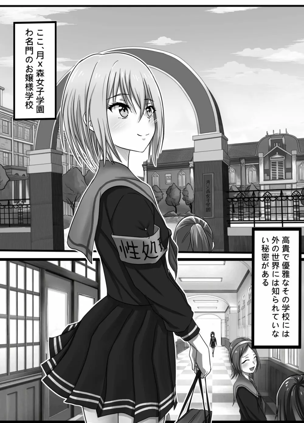 性処理委員 【倉田ましろの場合】 - page2
