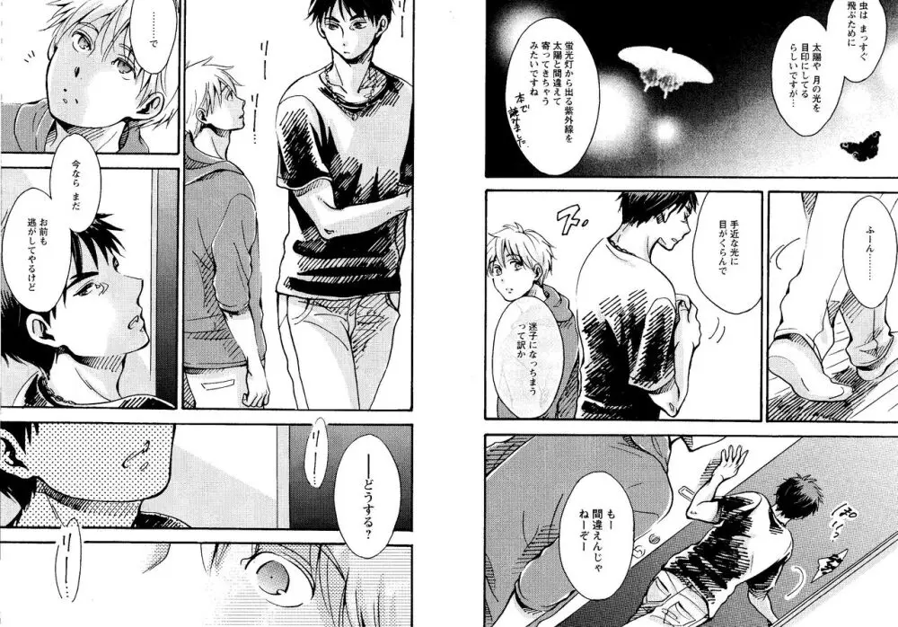 光と影が交わる刻 - page84