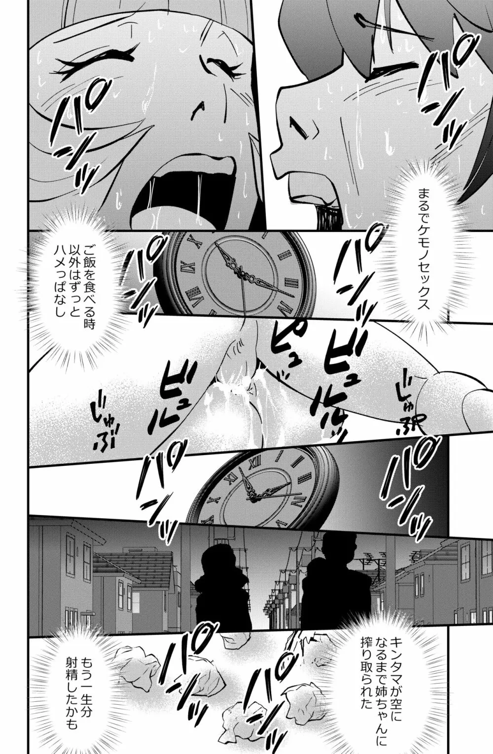 アネ・ハメ - page30