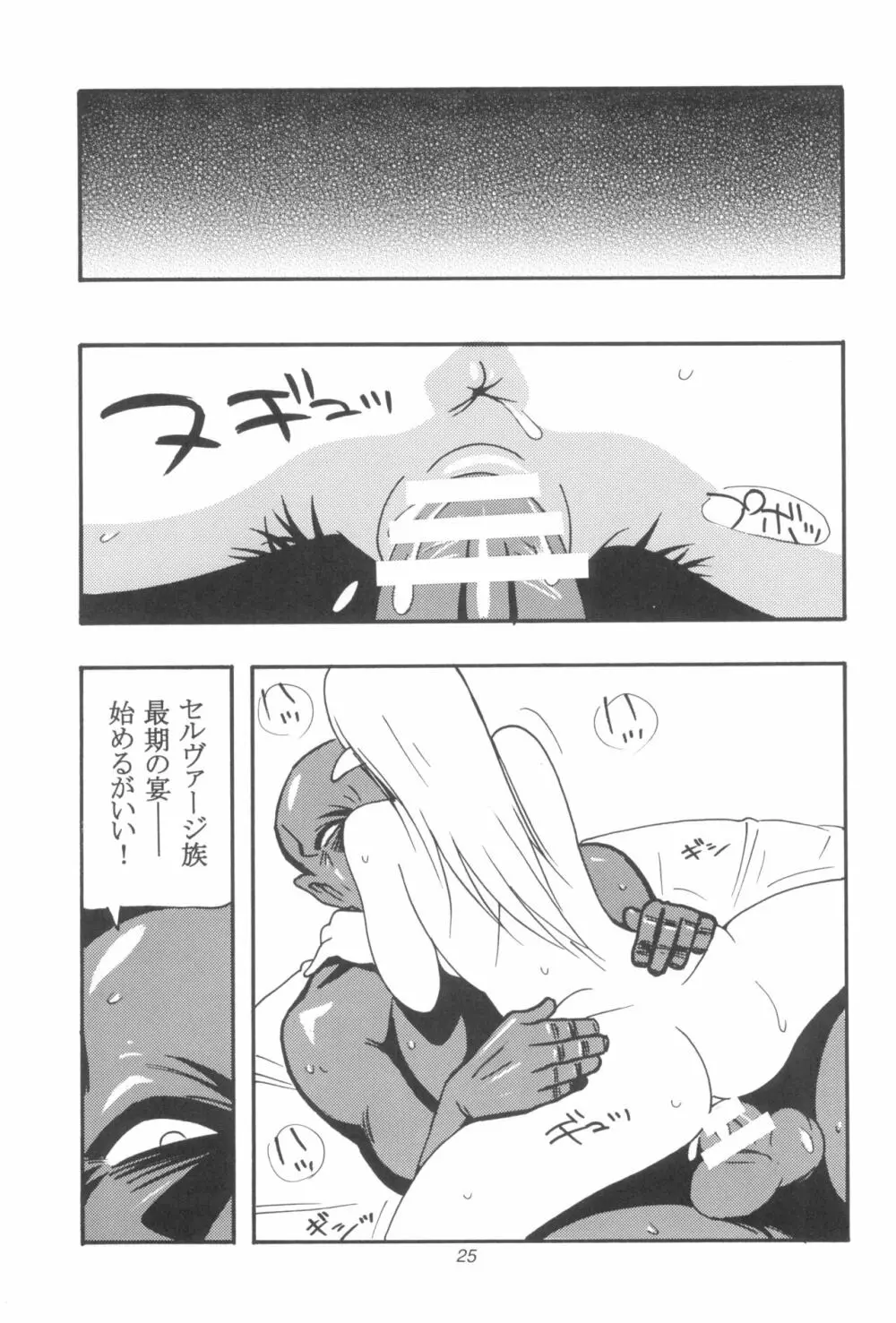 CELVARG3 - page25