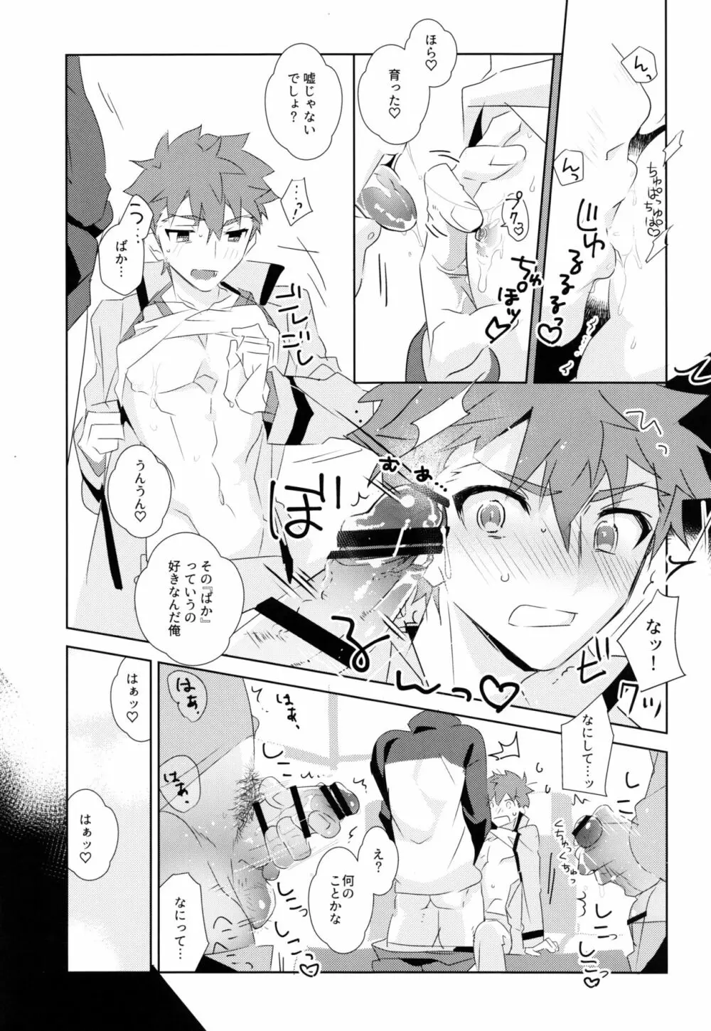 第一回衛宮士郎くん非公式ファン感謝祭 - page17