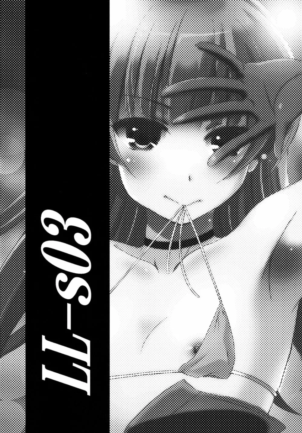 LL-SO3 - page3