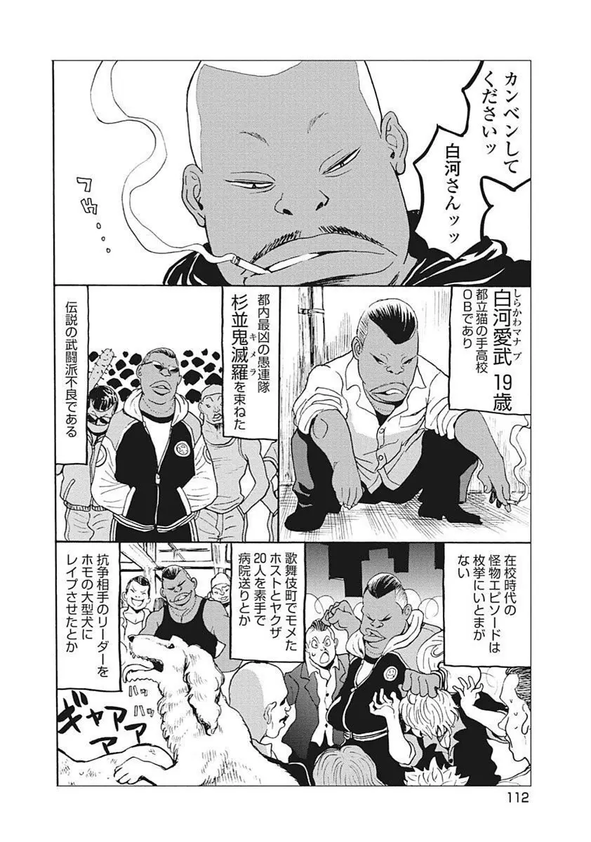 Hagure Idol VOL 14 - page114
