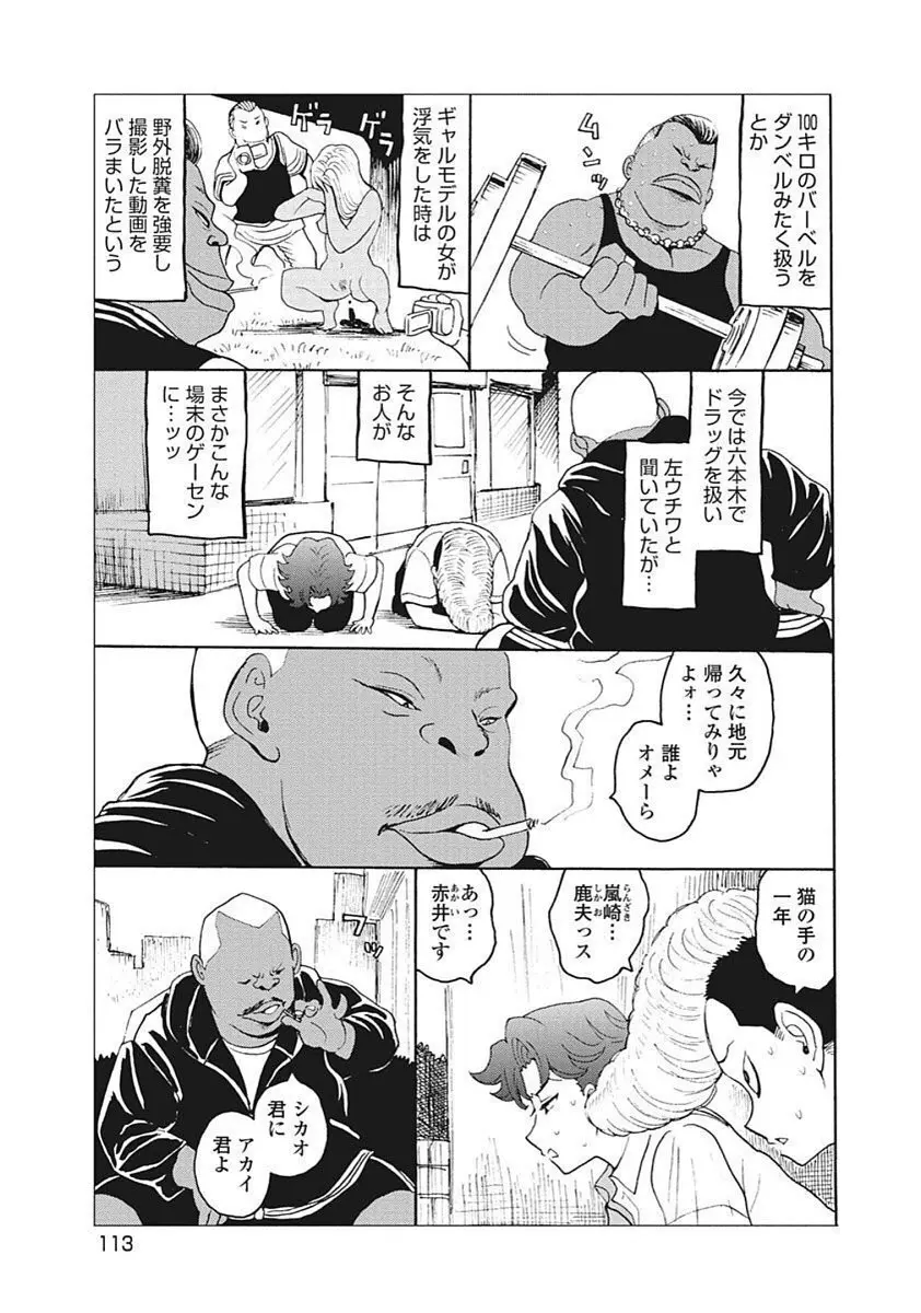Hagure Idol VOL 14 - page115
