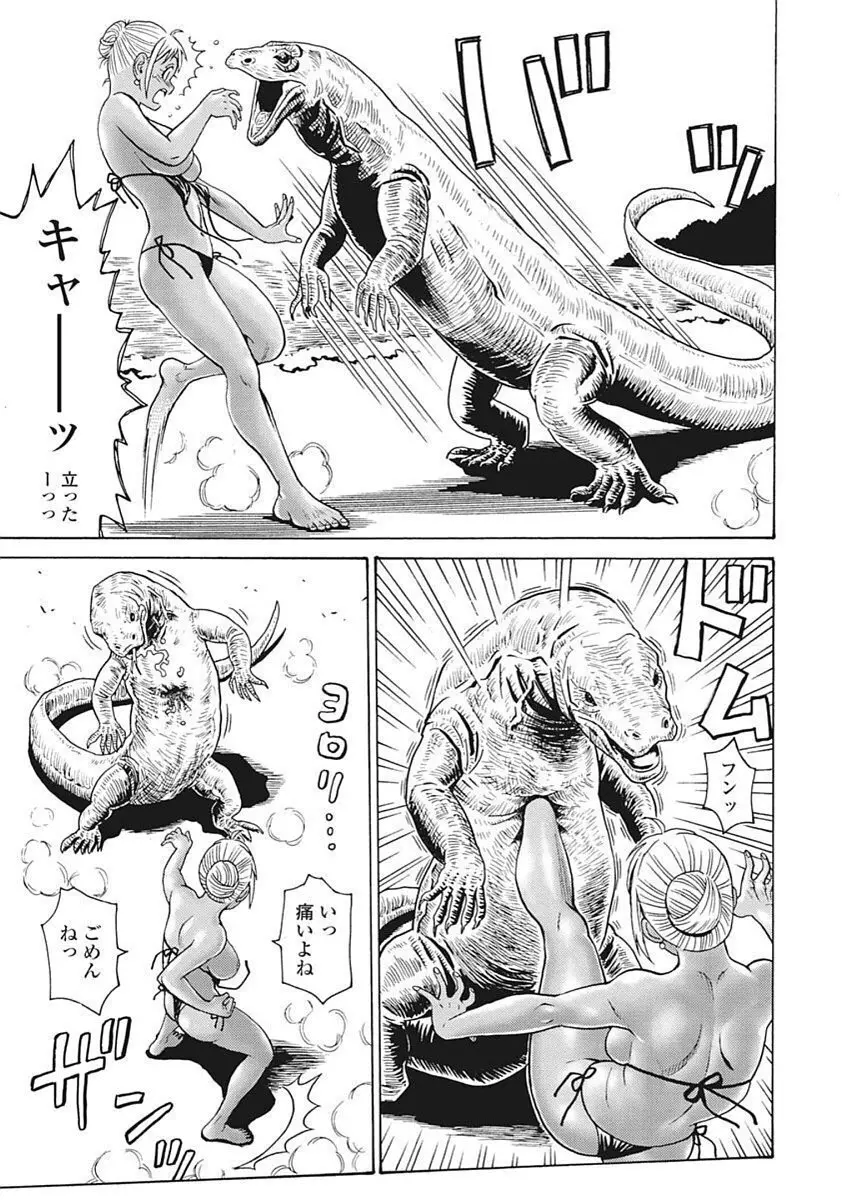 Hagure Idol VOL 14 - page17