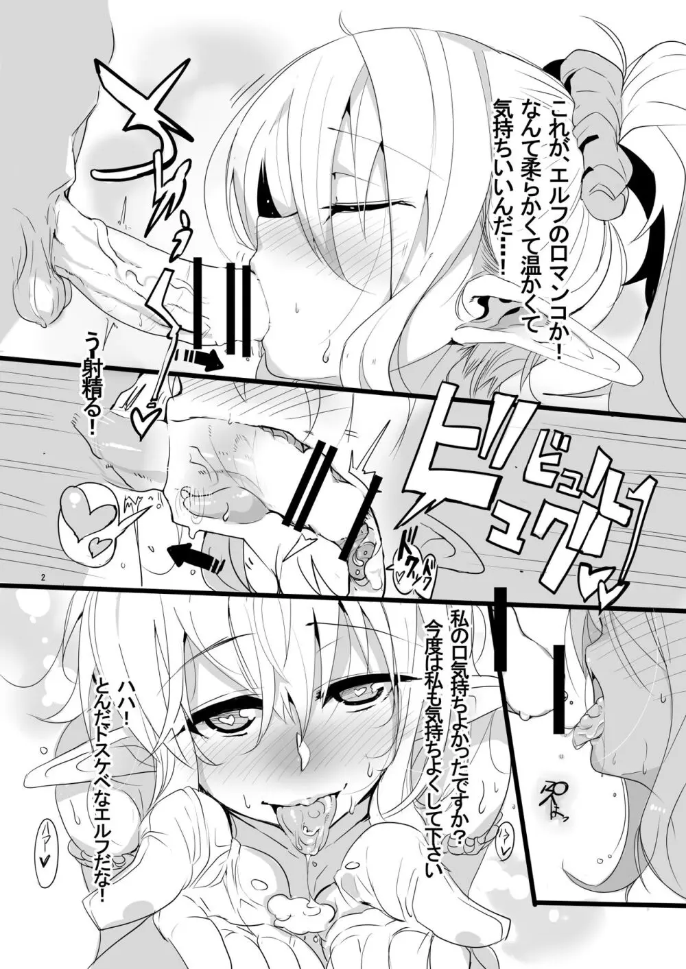 Hなエルフにチョメチョメされちゃう本。 - page3