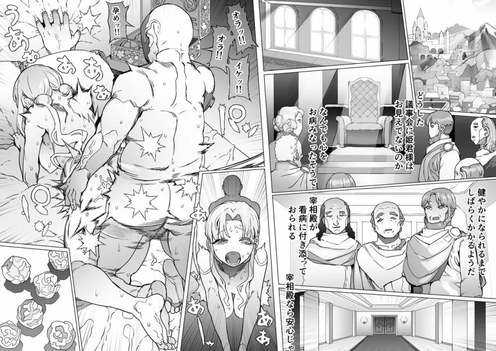 王となる者～王姫調教録～ - page24
