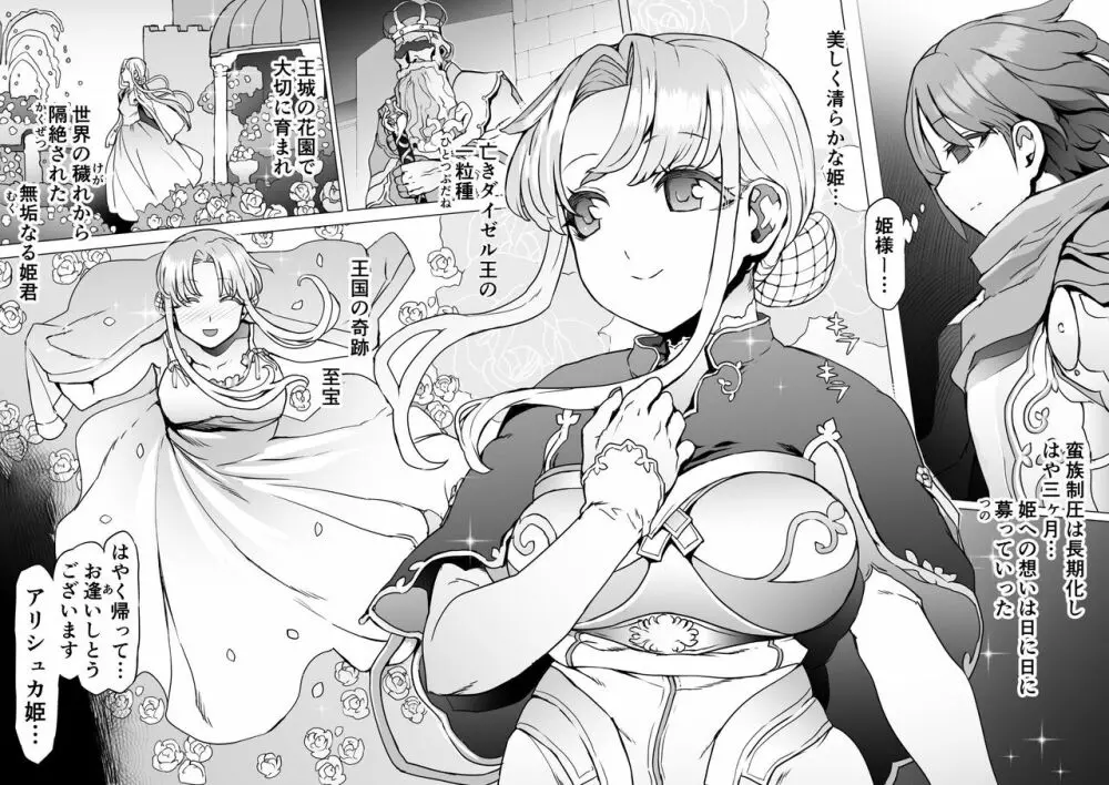 王となる者～王姫調教録～ - page33