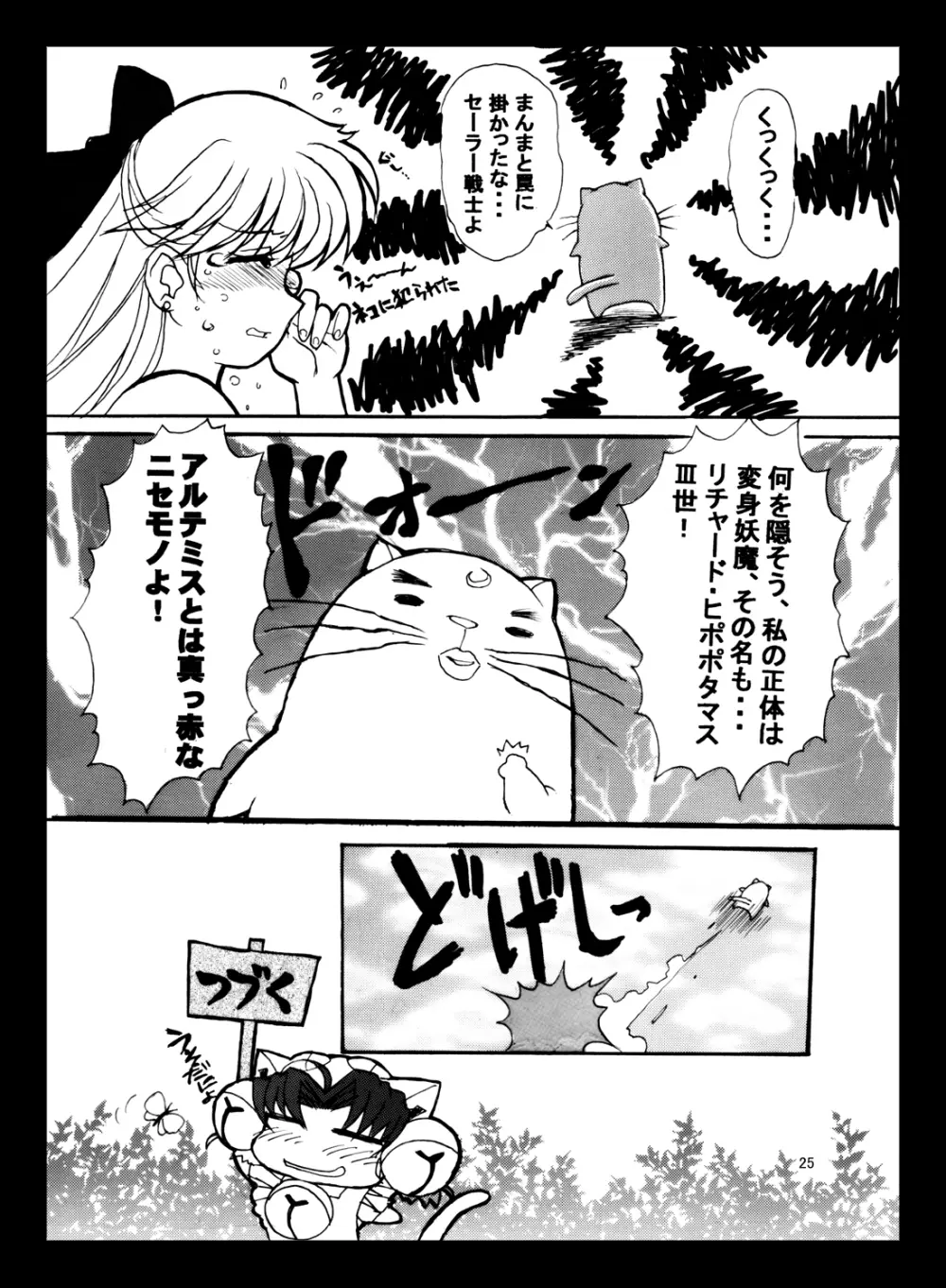 JSP.XIII - page24
