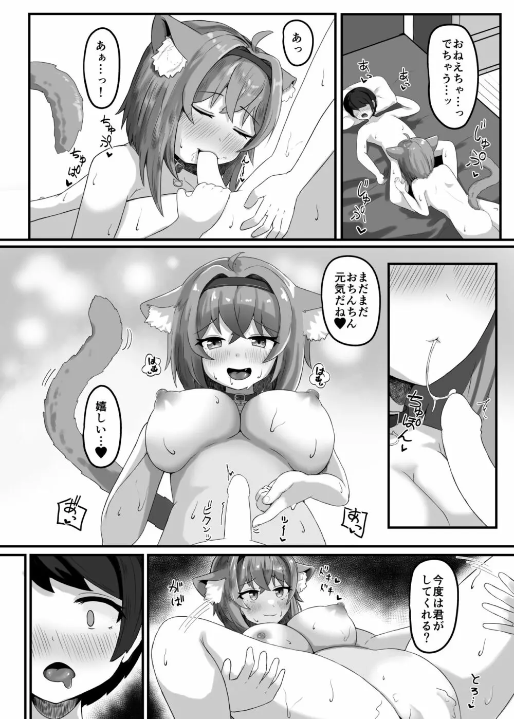 おねえちゃんにかわいがられる本 - page11