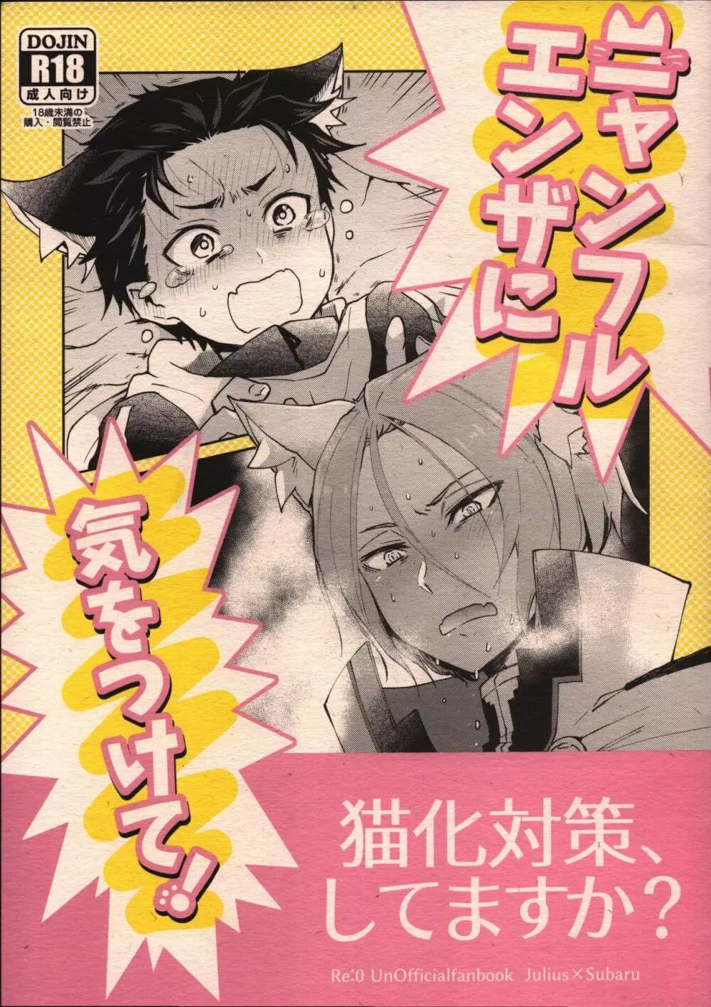 ニャンフルエンザに気をつけて!