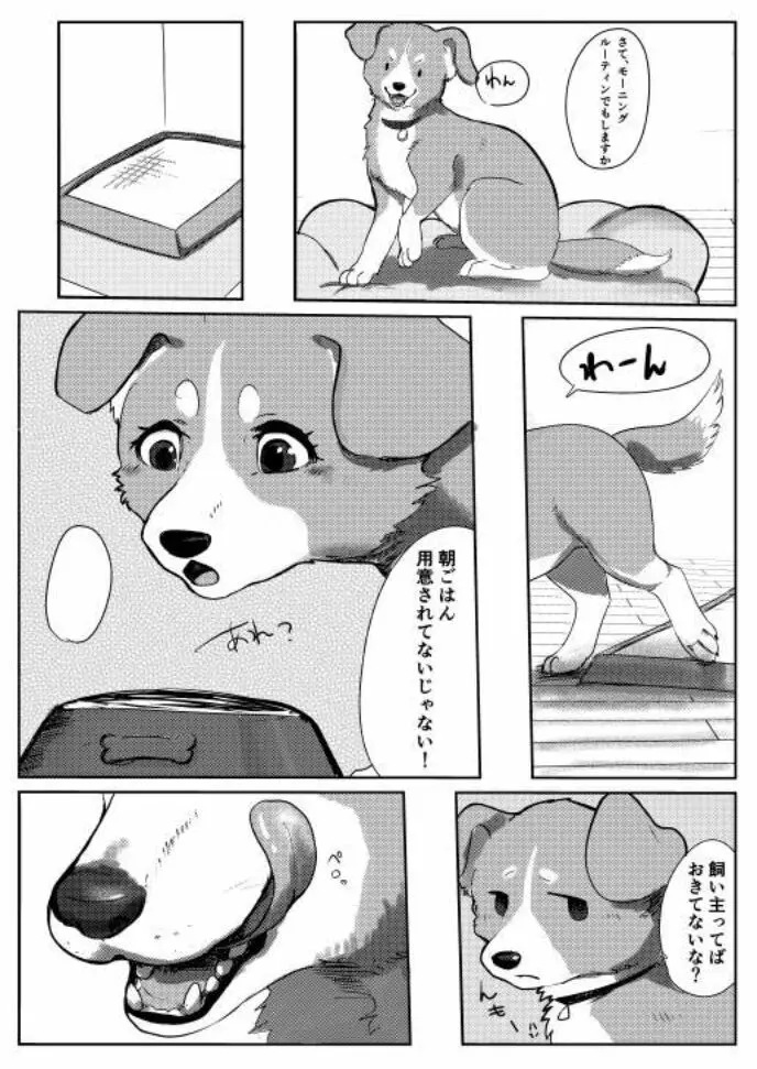 わんだふる!1 - page3