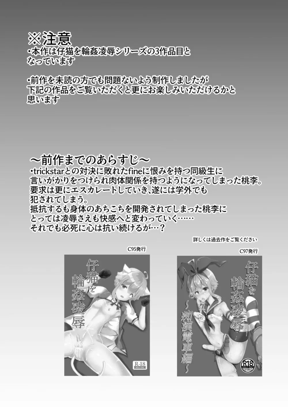 子猫を輪姦凌辱～AV撮影編～ - page3