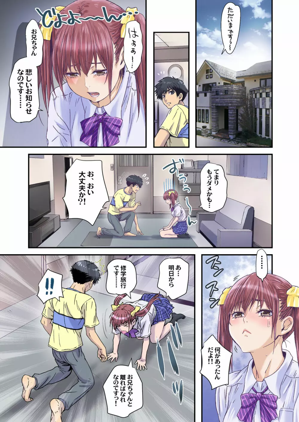 妹は僕の恋人～お兄ちゃんが心配編～ - page3