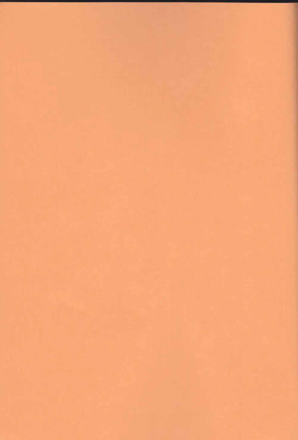 Kamikaze 2(Bleach)[ongoing] - page2