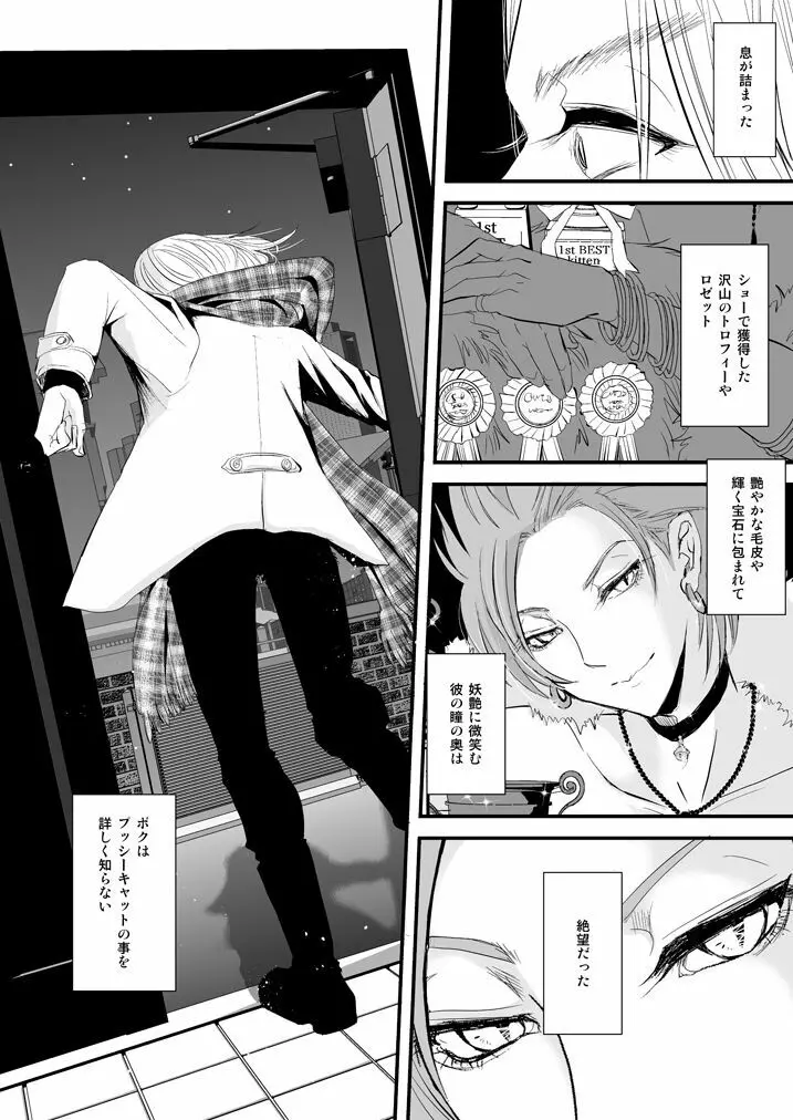 カミュの感度を3000倍にする本 - page19