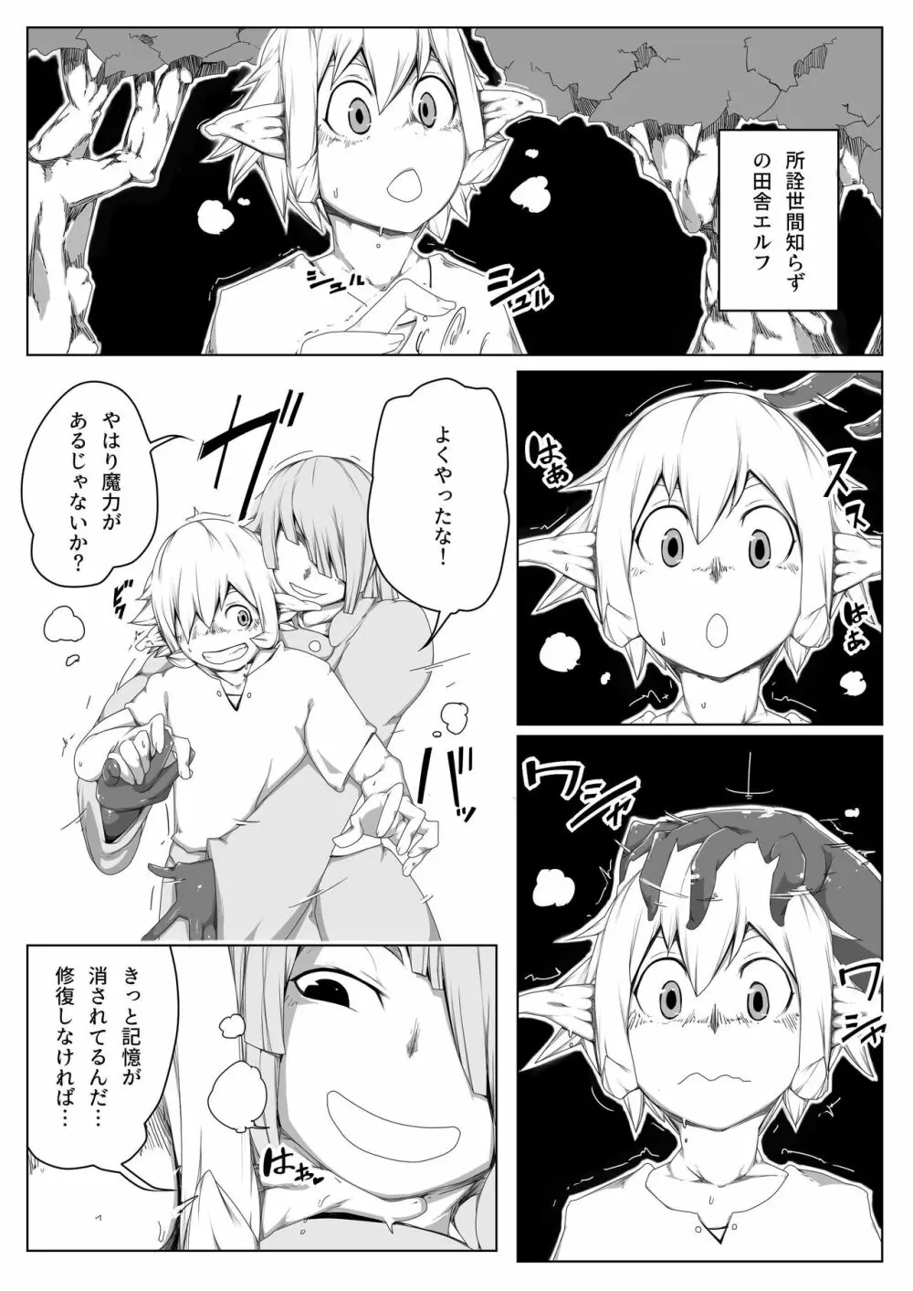 動妄ハウスーエルフの囚われ孕ませ王子００３ - page11