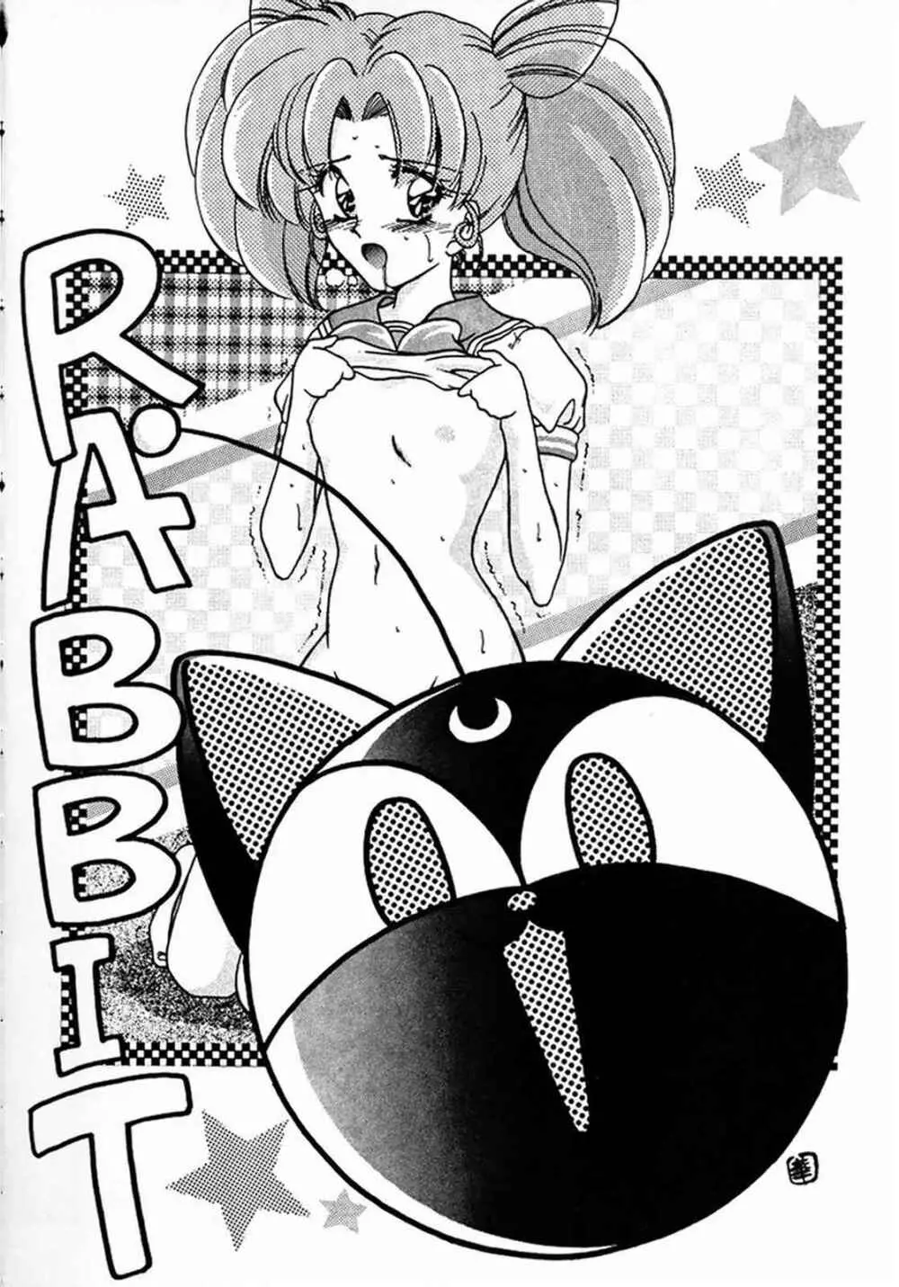 (C45) [芸は身を救う!! (よろず)] -R- (美少女戦士セーラームーン) - page18