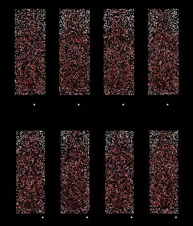 ストップストリップ - page48