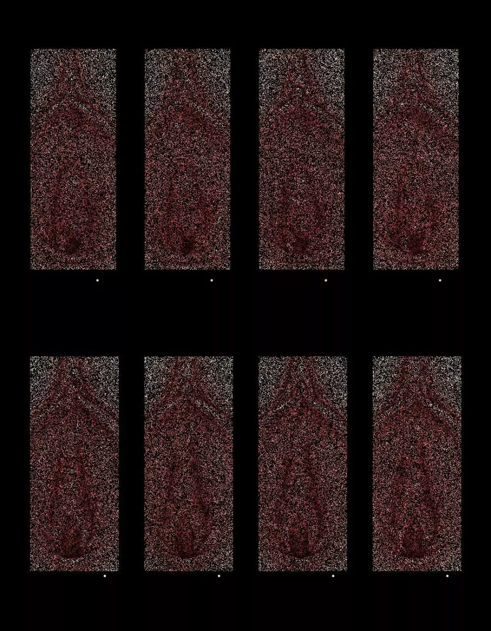 ストップストリップ - page50